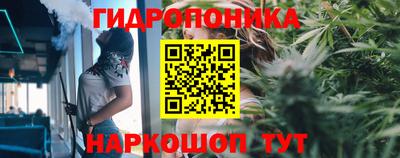 эйфоретик Нарткала