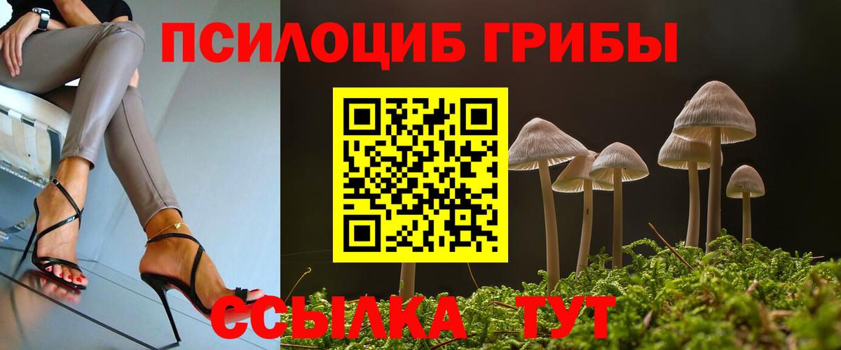 Псилоцибиновые грибы прущие грибы Сызрань